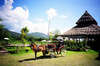 Bell Villa Resort Pai 
